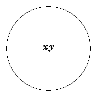 Diagram representing x and y are identical